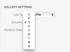 WordPress Photo Gallery Columns option
